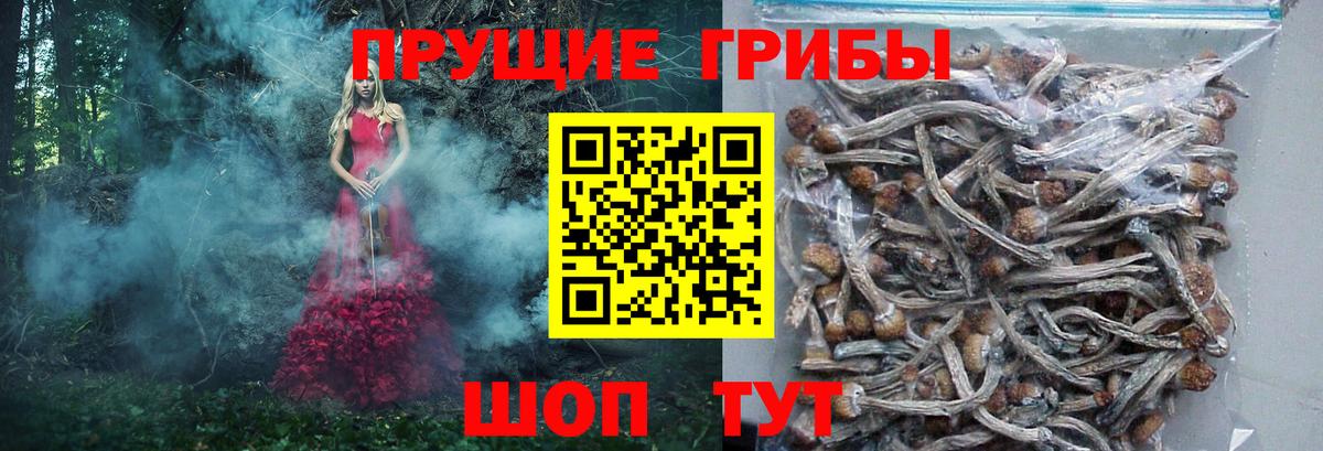 Кыштым  Галлюциногенные грибы Cubensis  Вход с VPN 